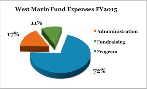 WMF_expense-piechart-2015